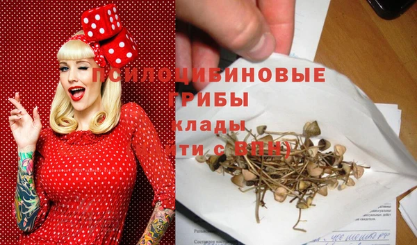 амф Абинск