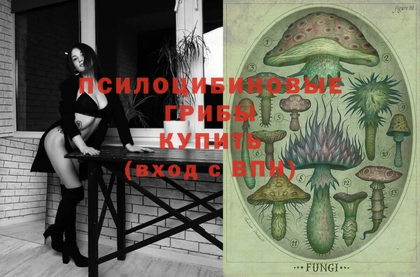 амф Абинск