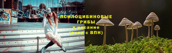 амф Абинск