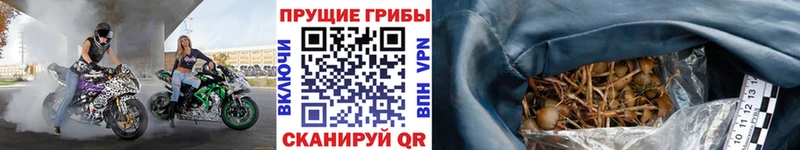 Галлюциногенные грибы мухоморы  Сольцы 